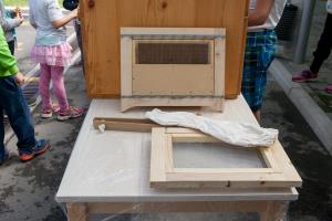 čebelarski dan (10)